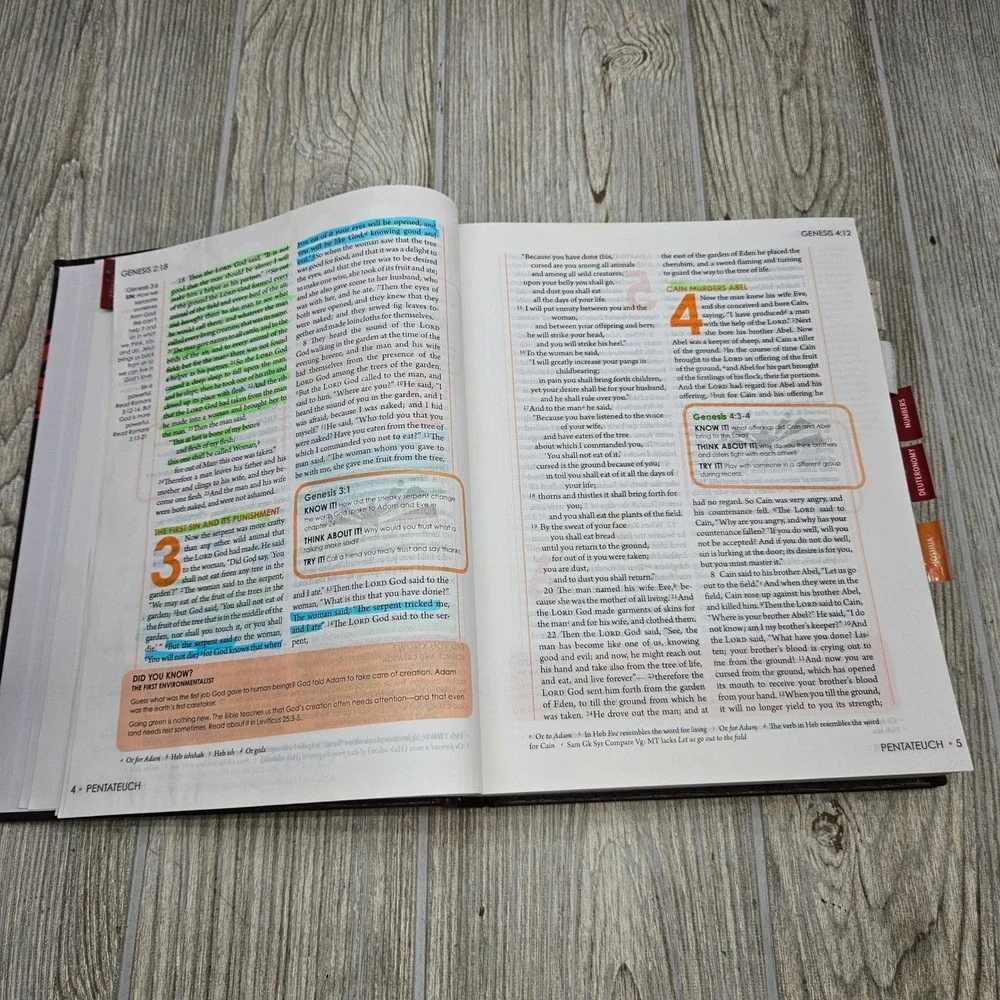 Sparkhouse spark bible